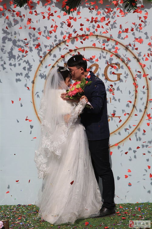 新野爱度婚庆 性价比之选，让幸福起航